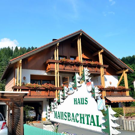 Pension Mausbachtal Варменштайнах Экстерьер фото