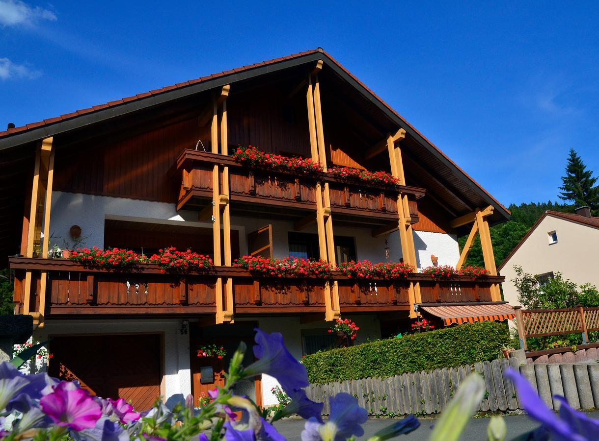 Pension Mausbachtal Варменштайнах Экстерьер фото