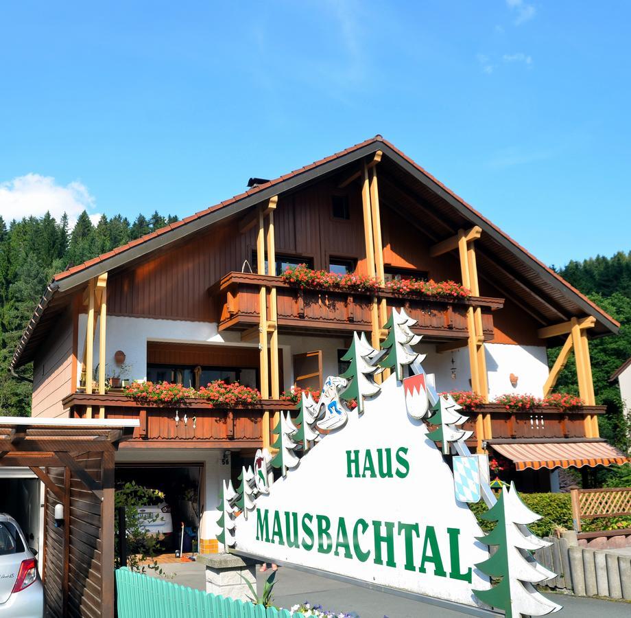 Pension Mausbachtal Варменштайнах Экстерьер фото